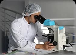 ELABORATION DU PROJET SANTÉ